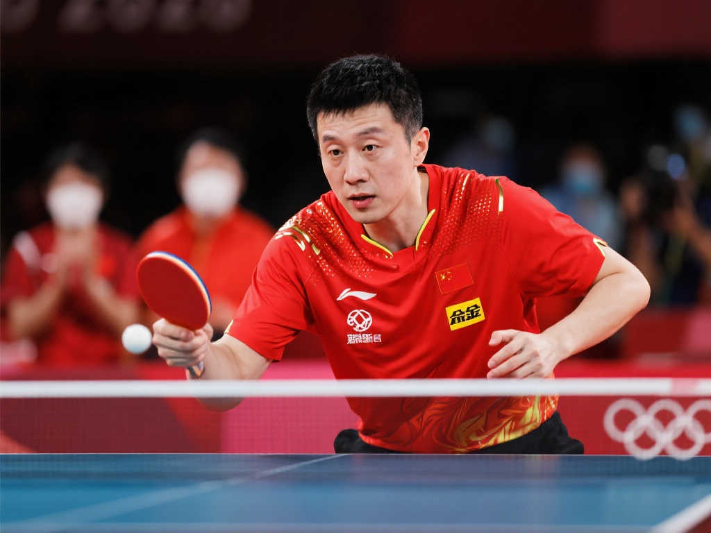 比赛概况 比赛概况